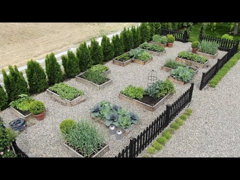 Garden Answer: My Vegetable Garden Layout! 👩🌾🥦🍓// Garden Answer My Vegetable Garden Layout! 👩🌾🥦🍓// Garden Answer