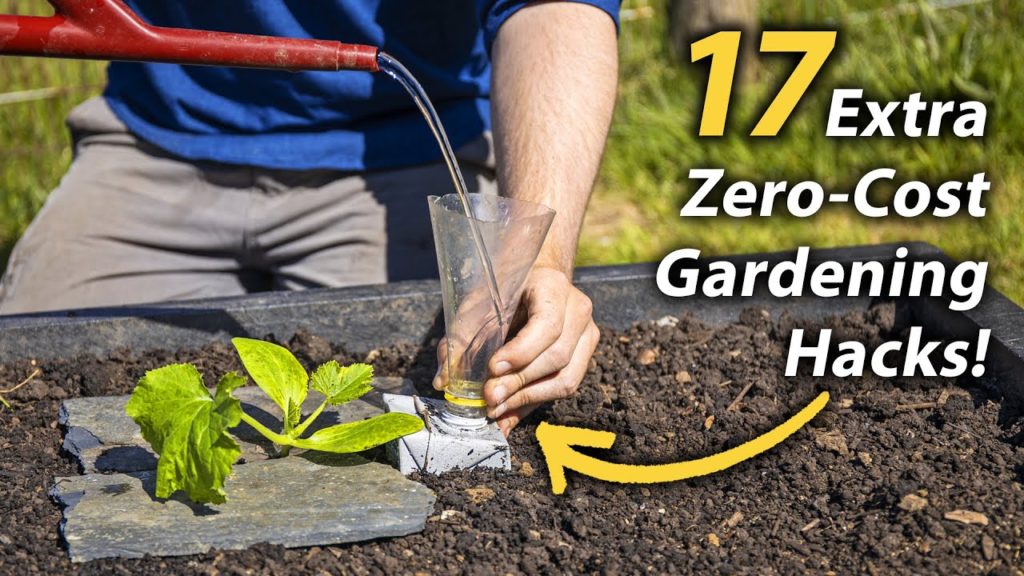 Huw Richards: 17 MORE Brilliant FREE Vegetable Gardening Hacks | Productive and Easy Garden Hacks 17 MORE Brilliant FREE Vegetable Gardening Hacks | Productive and Easy Garden Hacks