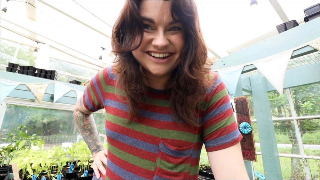 Roots and Refuge Farm: The Wildness of Mornings like This | VLOG The Wildness of Mornings like This | VLOG