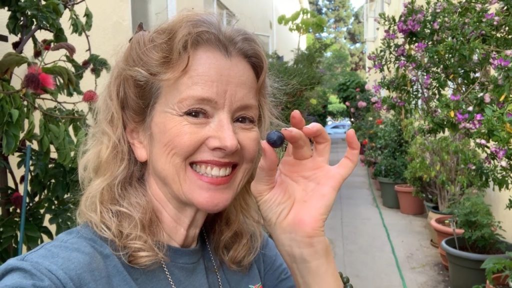 Mid-week Connection! Tune in for an hour and SHARE!