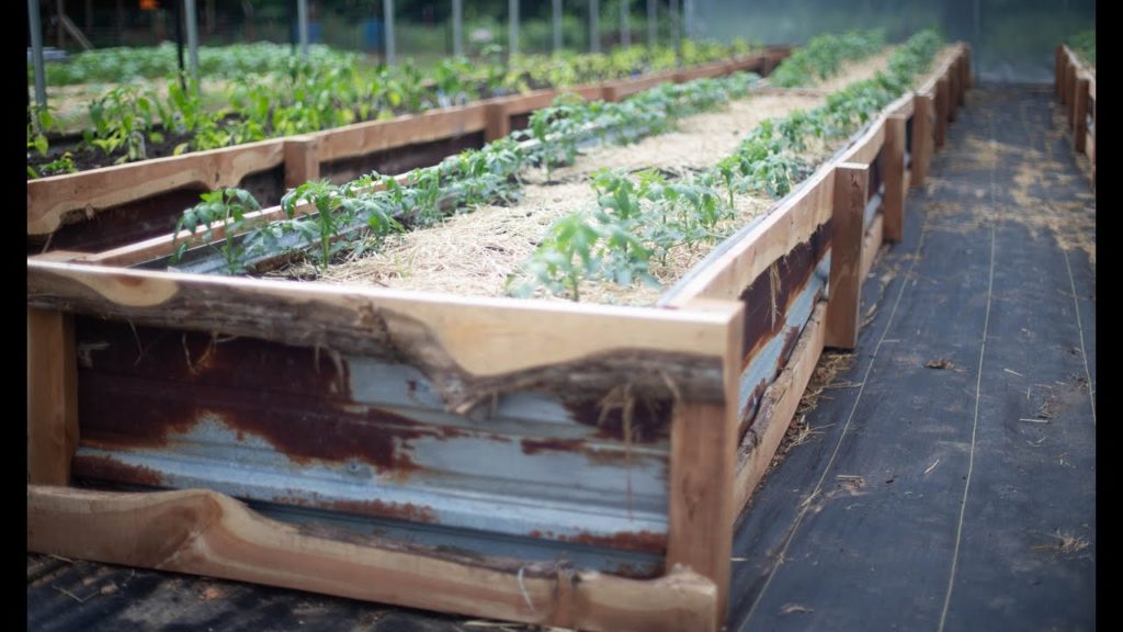 How to Build Our Raised Garden Beds 2.0 | Roots and Refuge