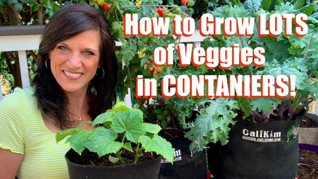 CaliKim: How to Grow LOTS of Veggies in Containers – 4 Tips for Success / Container Garden Series #1 How to Grow LOTS of Veggies in Containers - 4 Tips for Success / Container Garden Series #1