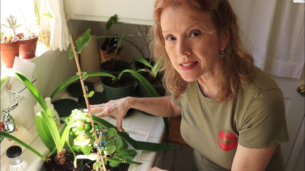 CREATE an INDOOR GARDEN - Part 1 | California Gardening in Containers | BLOOPERS