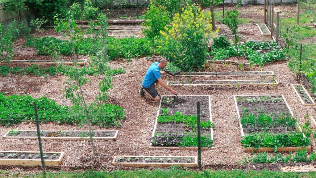What Happens When You Plant Fruits and Vegetables in the Same Garden?