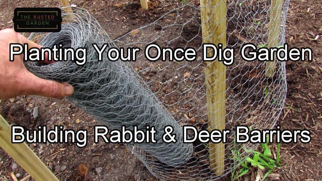 Gary Pilarchik: For New Gardeners –  Planting Your Once Dig Garden & Building Rabbit & Deer Barriers as/if Needed For New Gardeners -  Planting Your Once Dig Garden & Building Rabbit & Deer Barriers as/if Needed