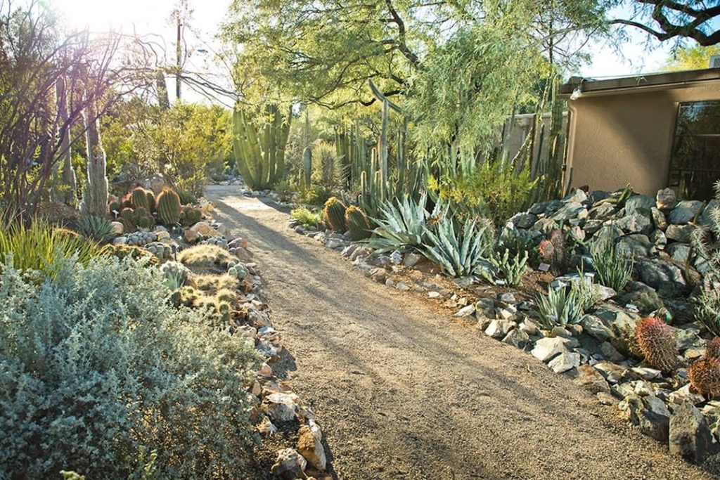 gardendesignmag: Many botanical gardens are hurting right now, and we get asked all the time what… Many botanical gardens are hurting right now, and we get asked all the time what...