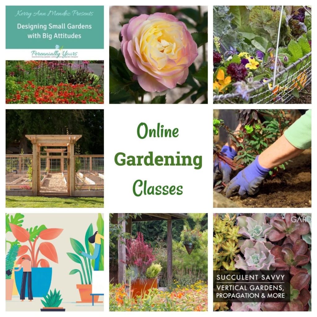 Want to learn about edible gardening?
How about houseplants?
Wish you could have...