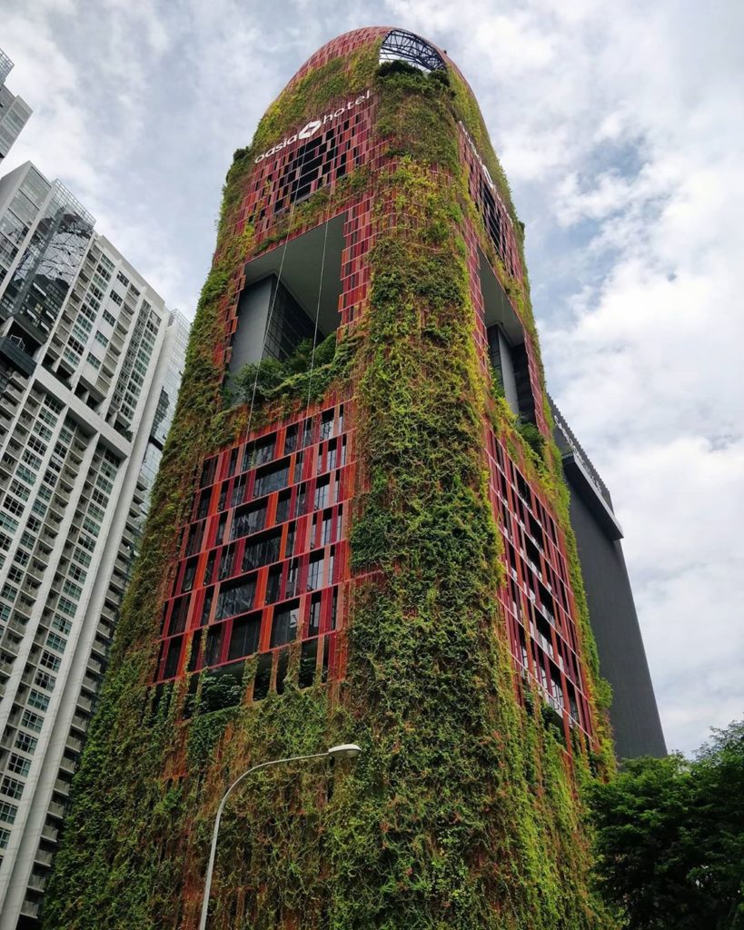 #tbt visiting Singapore (July 2018) - witnessing their plant-covered buildings!
...