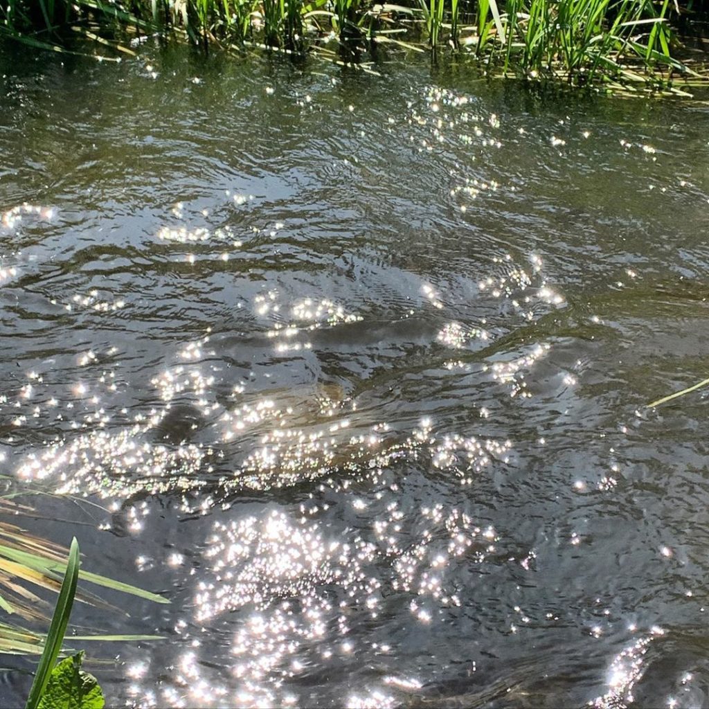 It’s just a bit of light on water. Basic elements but it makes me SO happy! I gu...