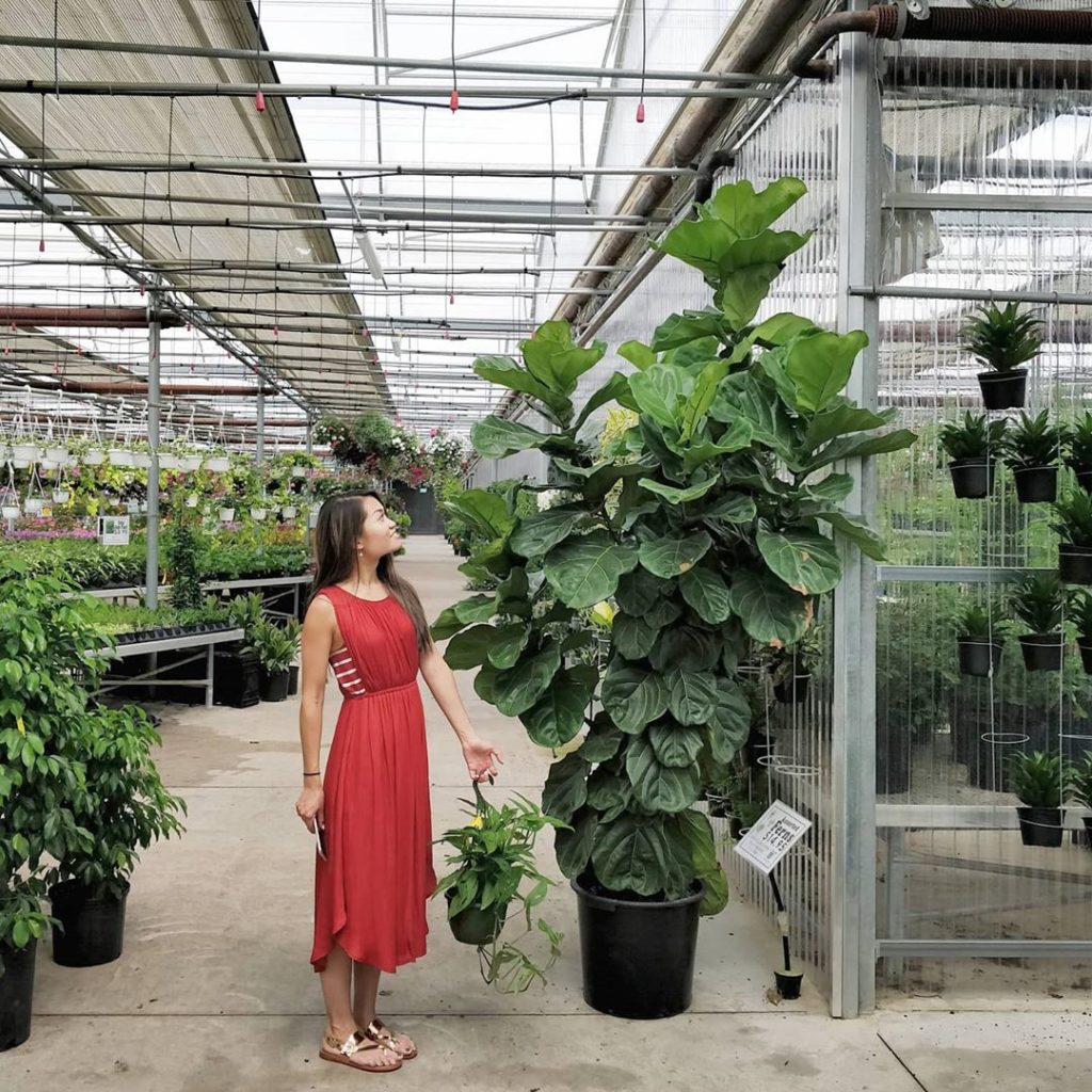 houseplantjournal: Happy birthday to my wife, Jackie – love you lots, my dear! (but we can’t fit th… Happy birthday to my wife, Jackie - love you lots, my dear! (but we can't fit th...