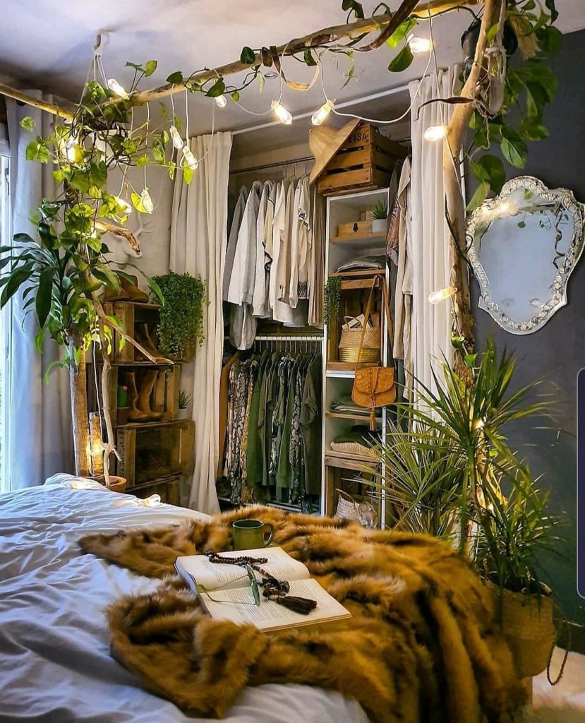 A planty closet? Who could ask for more?  Goals via @zebodeko...