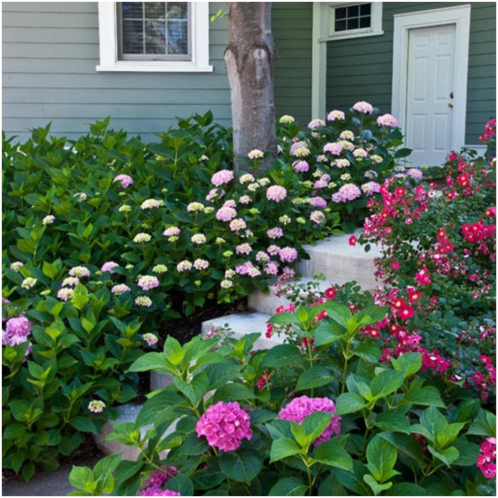 gardendesignmag: Full sun, part sun, part shade, full shade…It’s ok if you’re not sure what all… Full sun, part sun, part shade, full shade...It's ok if you're not sure what all...