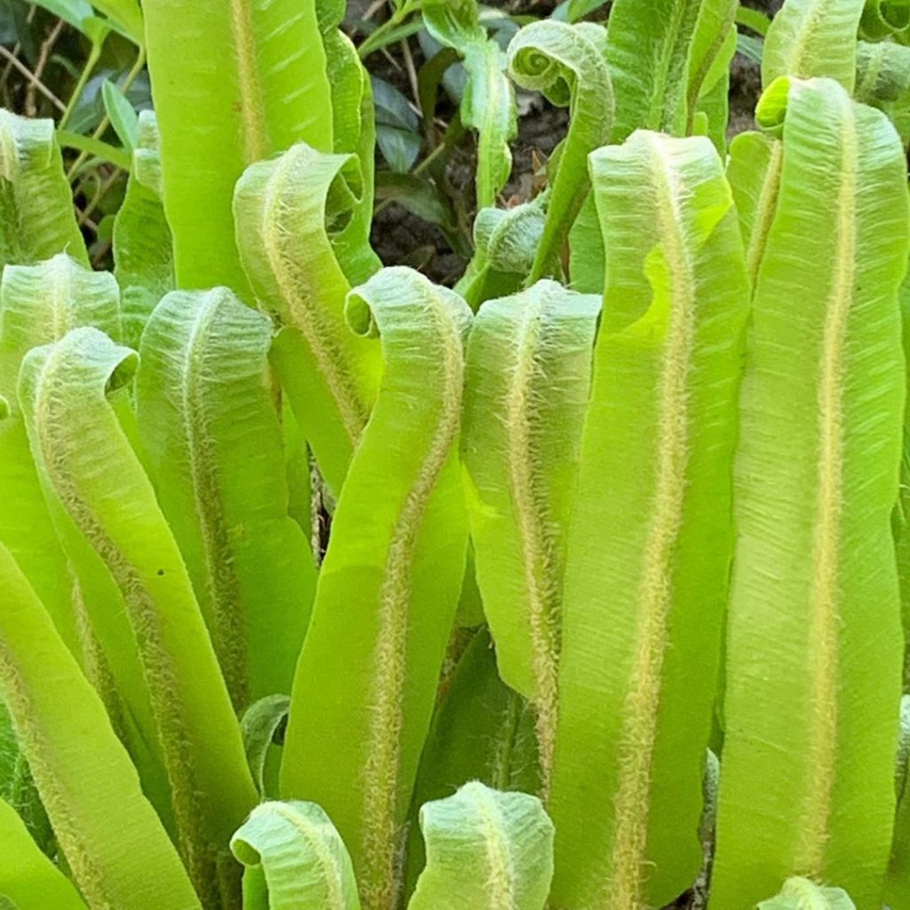 So... apparently I bang on quite often to anyone who will listen (& often those ...