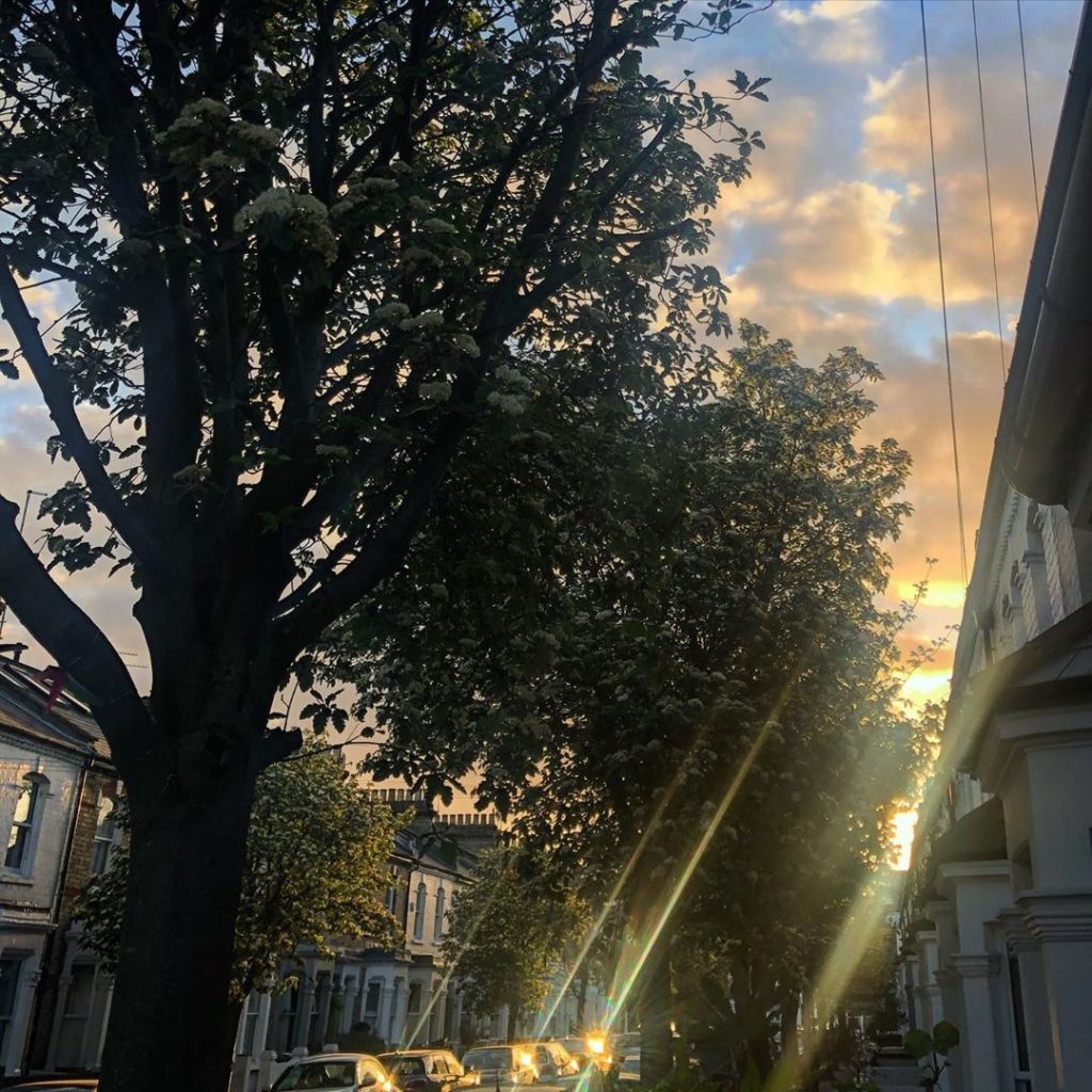 Early Monday morning street scene. I heard foxes in the night so was seeing if t...