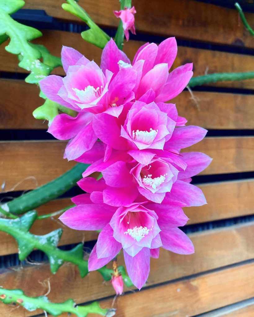 Happy Mother’s Day to all the  beautiful moms out there  Thanks for bringing lif...