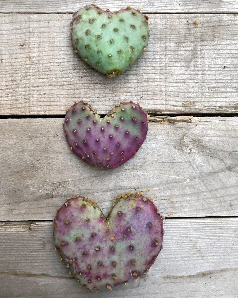 LVE is all you need. Comment below if you want to purchase, $15 each + shipping....