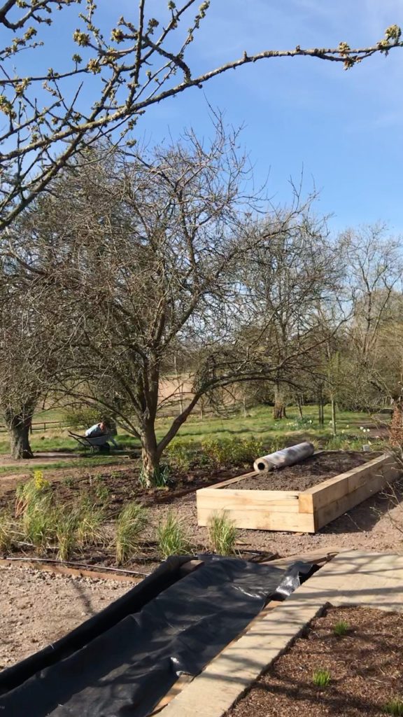 charlotterowegardens: We designed a large two acre garden in an area of chalk down land in North West … We designed a large two acre garden in an area of chalk down land in North West ...