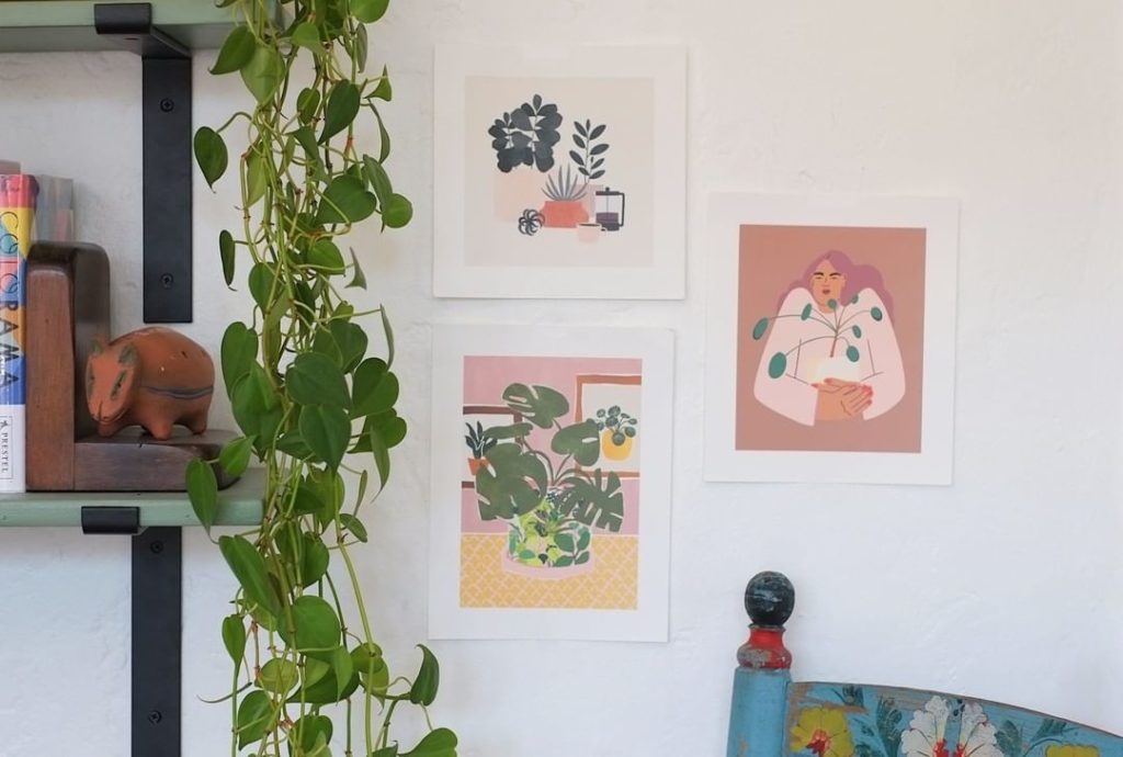 thesill: We know how important it is to spruce up your space, and we’ve partnered with ou… We know how important it is to spruce up your space, and we've partnered with ou...