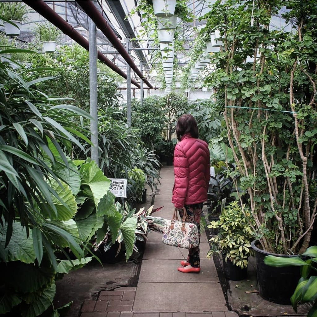 houseplantjournal: My mom taught me how to grow things outdoors, traditional gardening. She inspire… My mom taught me how to grow things outdoors, traditional gardening. She inspire...