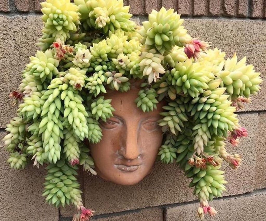 Harry Butterfield is now on our site! Hope you guys are having a great day. : un...