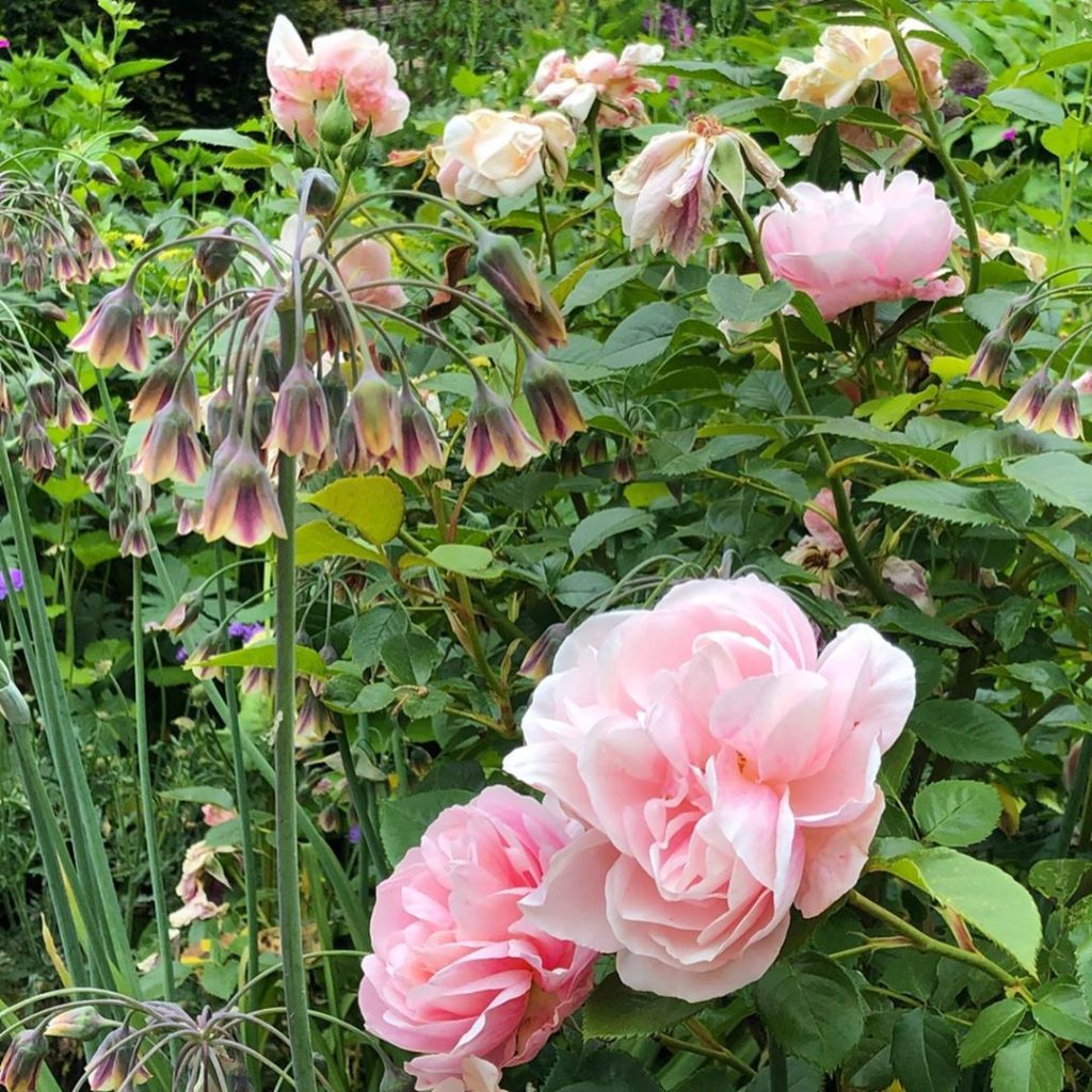 Love the simplicity and formality of the design of the Old English Garden in Bat...