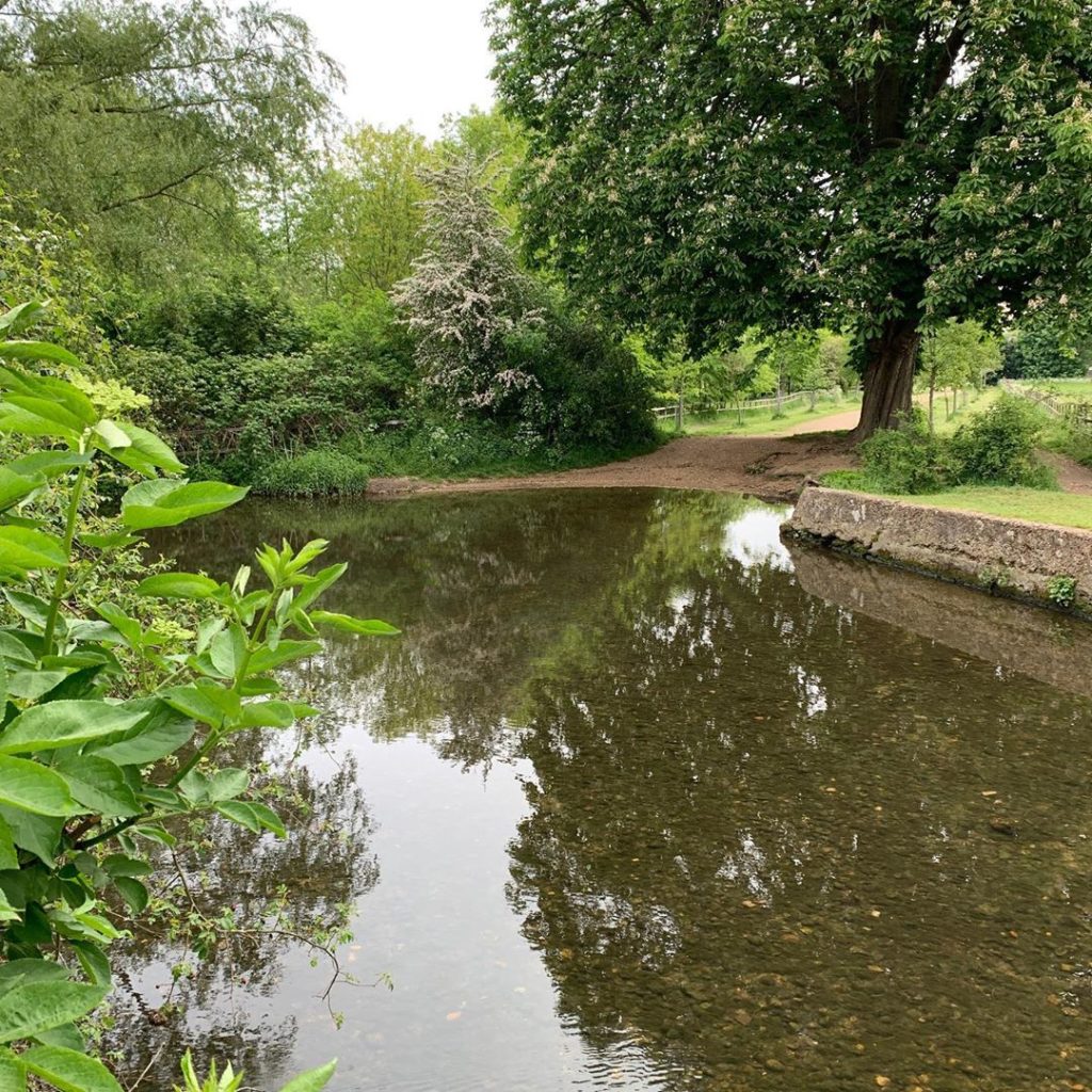 A lovely calm way to start the day.
.
.
.
#dailyexercise #morningwalk #countrysi...