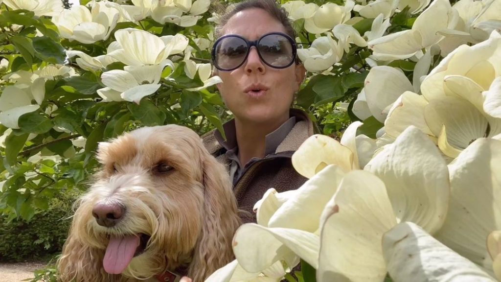 #Friday #Fun #Facts... #enjoy......