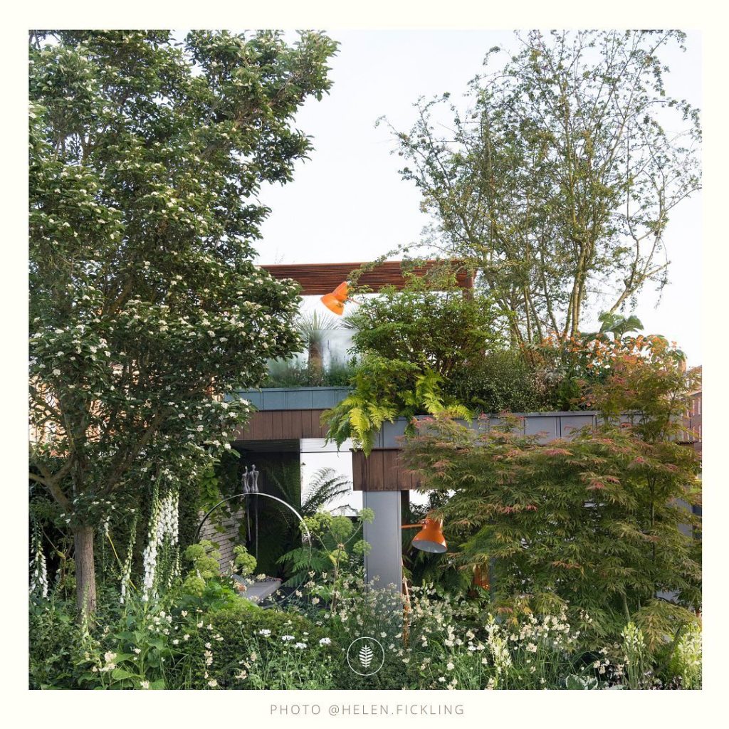 kategouldgardens: 50m3 of soil to dig out on day 1. Steel superstructure up days 2 and 3. Those we… 50m3 of soil to dig out on day 1. Steel superstructure up days 2 and 3. Those we...