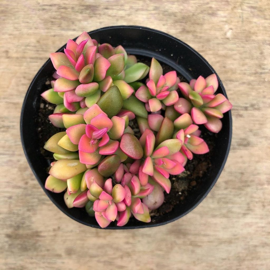 Swipe right to peek newest additions to our website!...