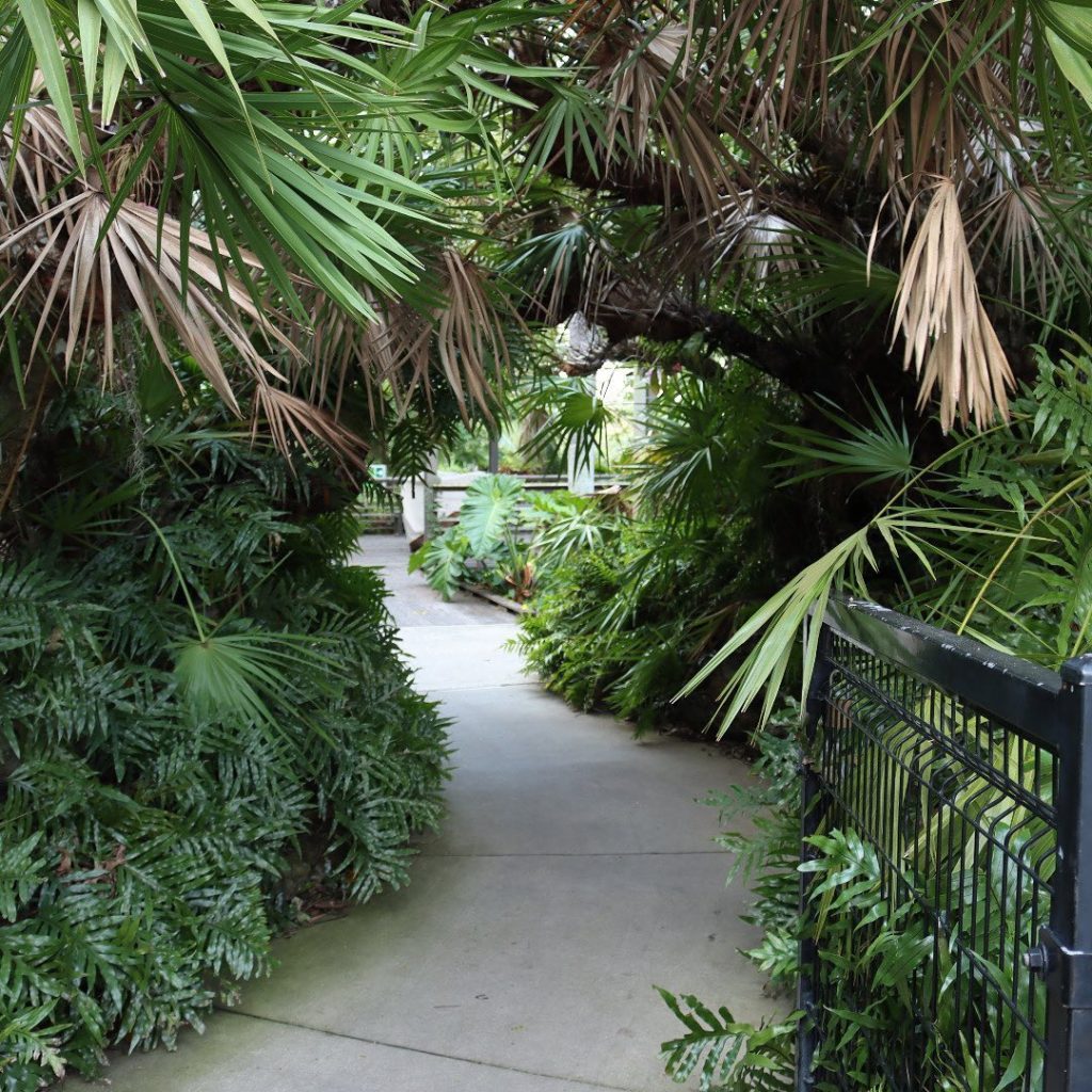 We're all about "visiting" gardens today! 
.
Let's explore @naplesbotanical in F...