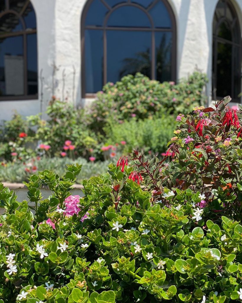 What gardening Zone are you in?
.
Here’s a few gardens I recently saw in Zone 10...