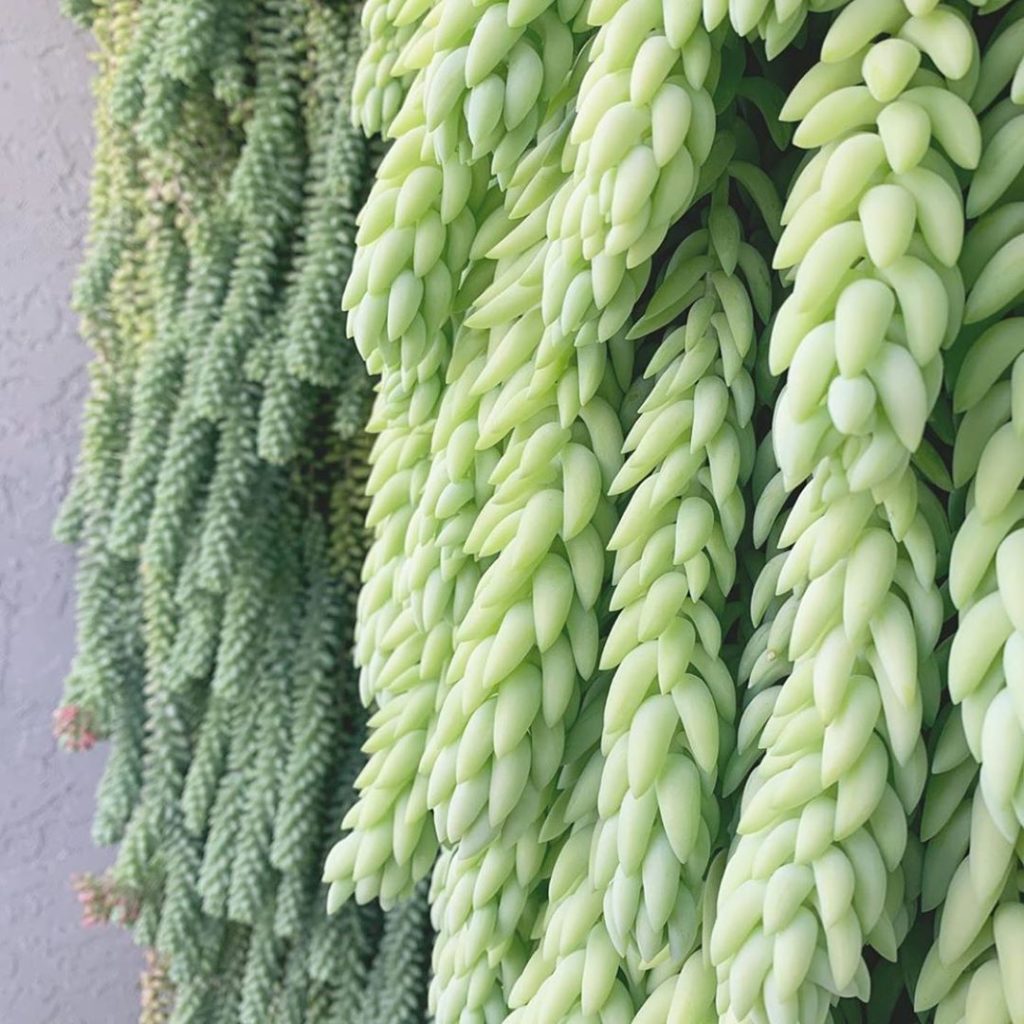 What you read, watch, listen to and who you talk to matters. Be sure you choose...