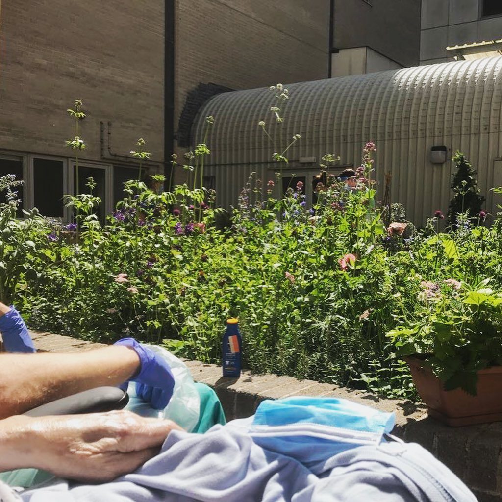 tommasseyuk: Great to see these photos of the organic meadow we planted in this courtyard gar… Great to see these photos of the organic meadow we planted in this courtyard gar...