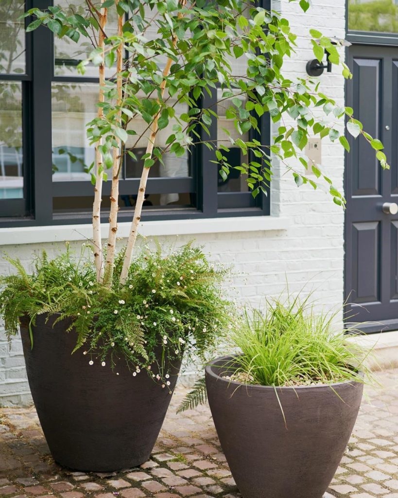 sheilajacklandscapes: Mewsing… a contemporary ‘welcome home’ for the front of this London mews proje… Mewsing... a contemporary ‘welcome home’ for the front of this London mews proje...