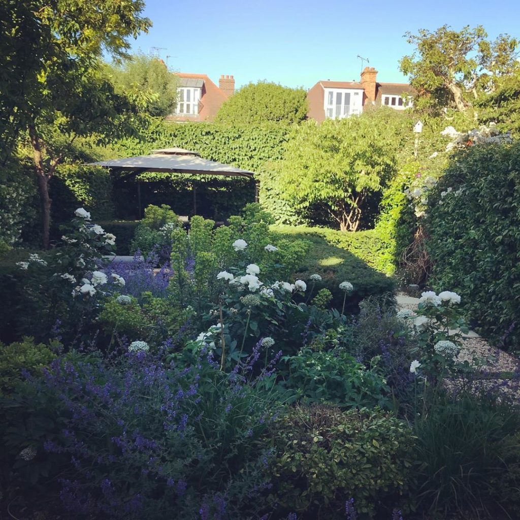 charlotterowegardens: Swipe to see two images of a #towngarden we designed three years ago. The garde… Swipe to see two images of a #towngarden we designed three years ago. The garde...