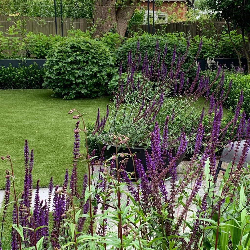 kategouldgardens: & a bit of blue (or purple) depending on how you look at colour. A few slightly … & a bit of blue (or purple) depending on how you look at colour. A few slightly ...