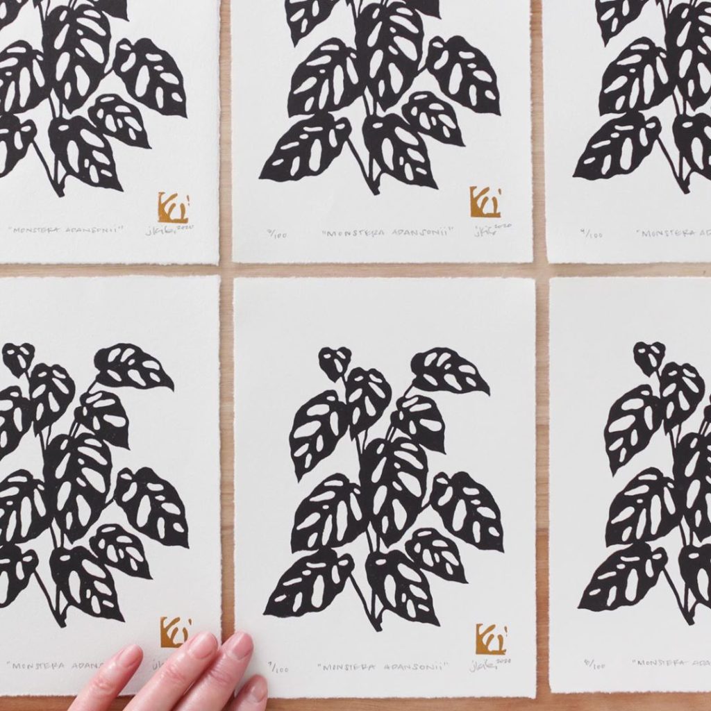 livingpattern: Everybody’s favorite from yesterday’s print release – Monstera adansonii Today I… Everybody’s favorite from yesterday’s print release - Monstera adansonii Today I...