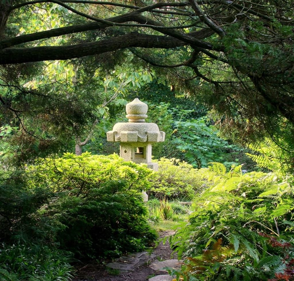 The @sfbotanicalgarden has reopened! See more than 9,000 plants from around the ...