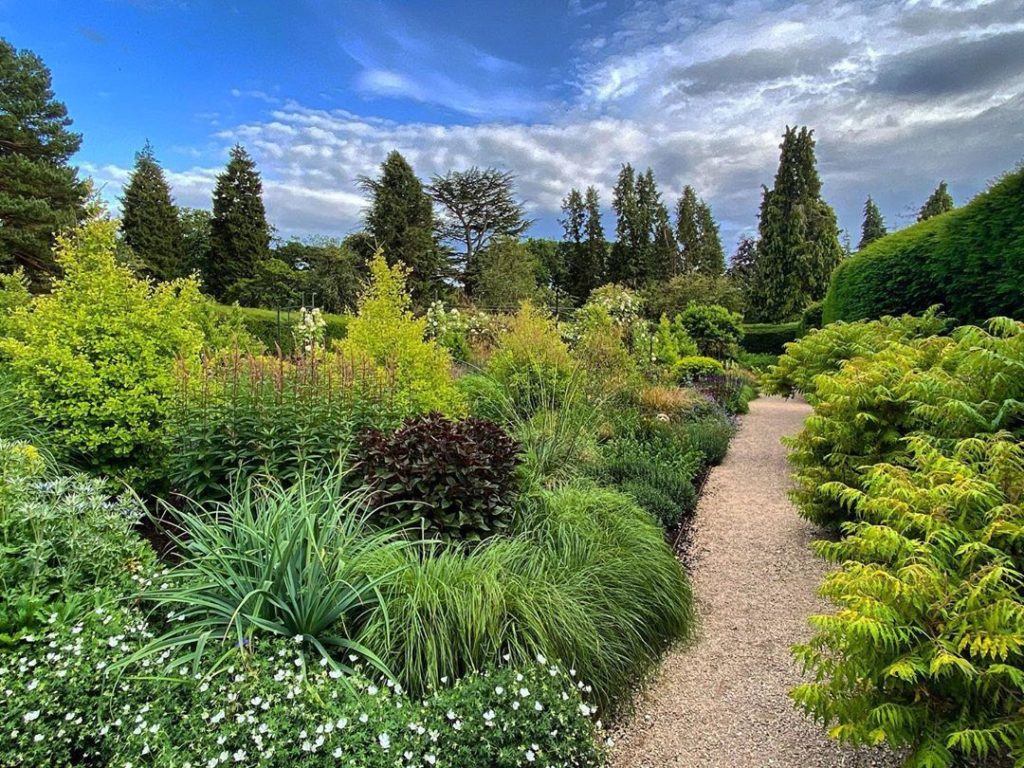 #WheresWillow #Wednesday ... #enjoy ... she’s nestled in amongst the verdant & b...