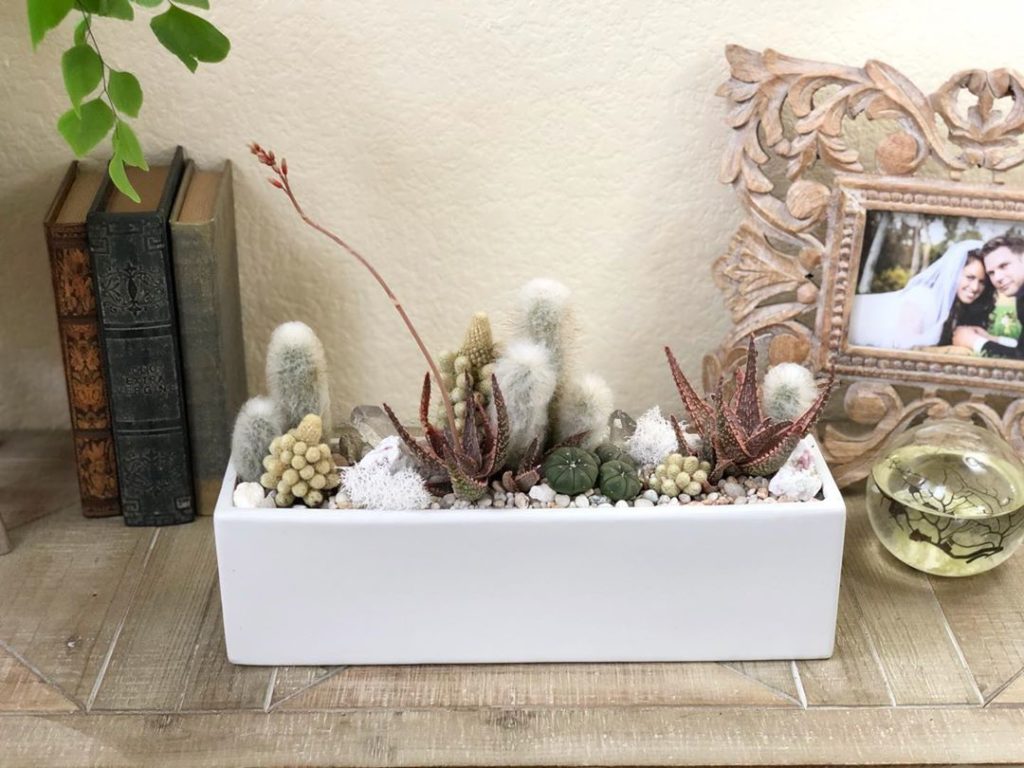 If you want to add  little drops of sunshine to your feed (who doesn’t?) go foll...