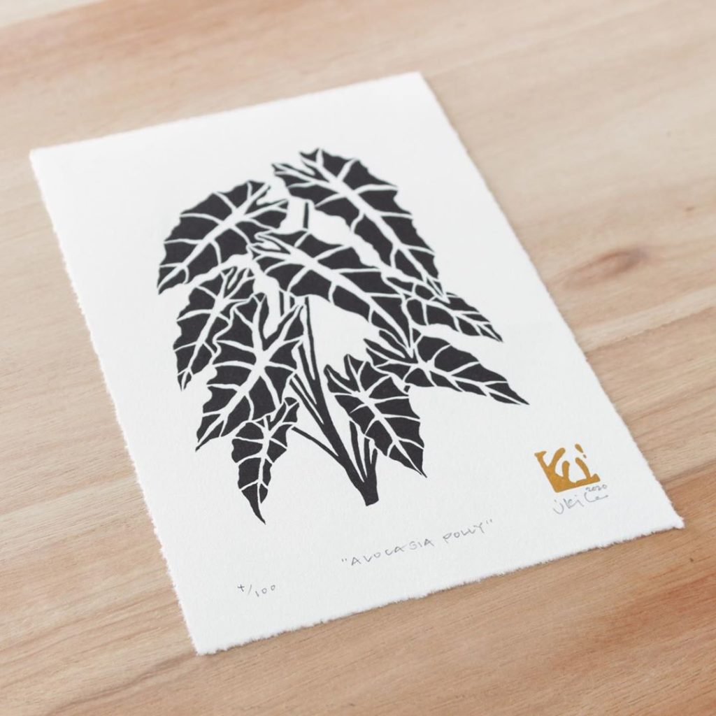 Alien plant encounters 

Thank you so much for the orders today and checking out...