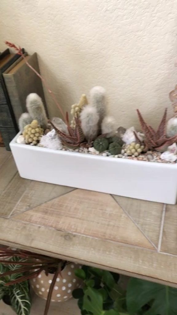 Check out my friends work. Everything she touches is magic, so incredibly talent...