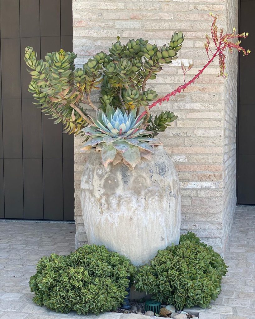 Which container is your favorite? 
.
.
#containergarden #outdoordesign #containe...