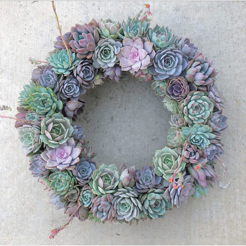 You are my sunshine....