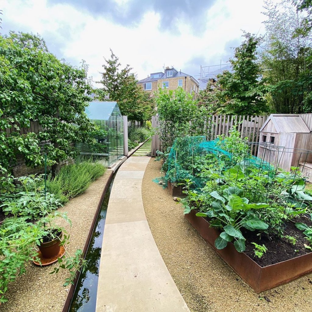 Always nice to see a well used and thriving productive area! So many times an ar...