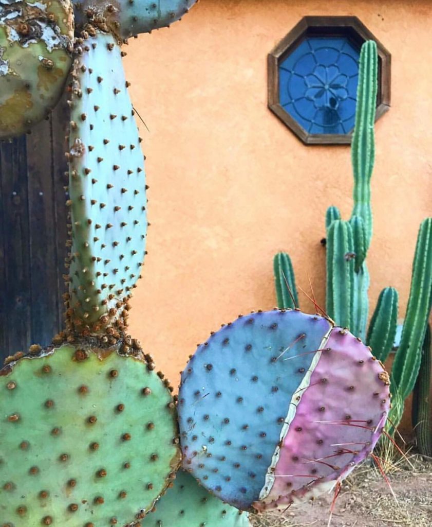 That feeling when you’re on a walk and notice something in nature that inspires ...