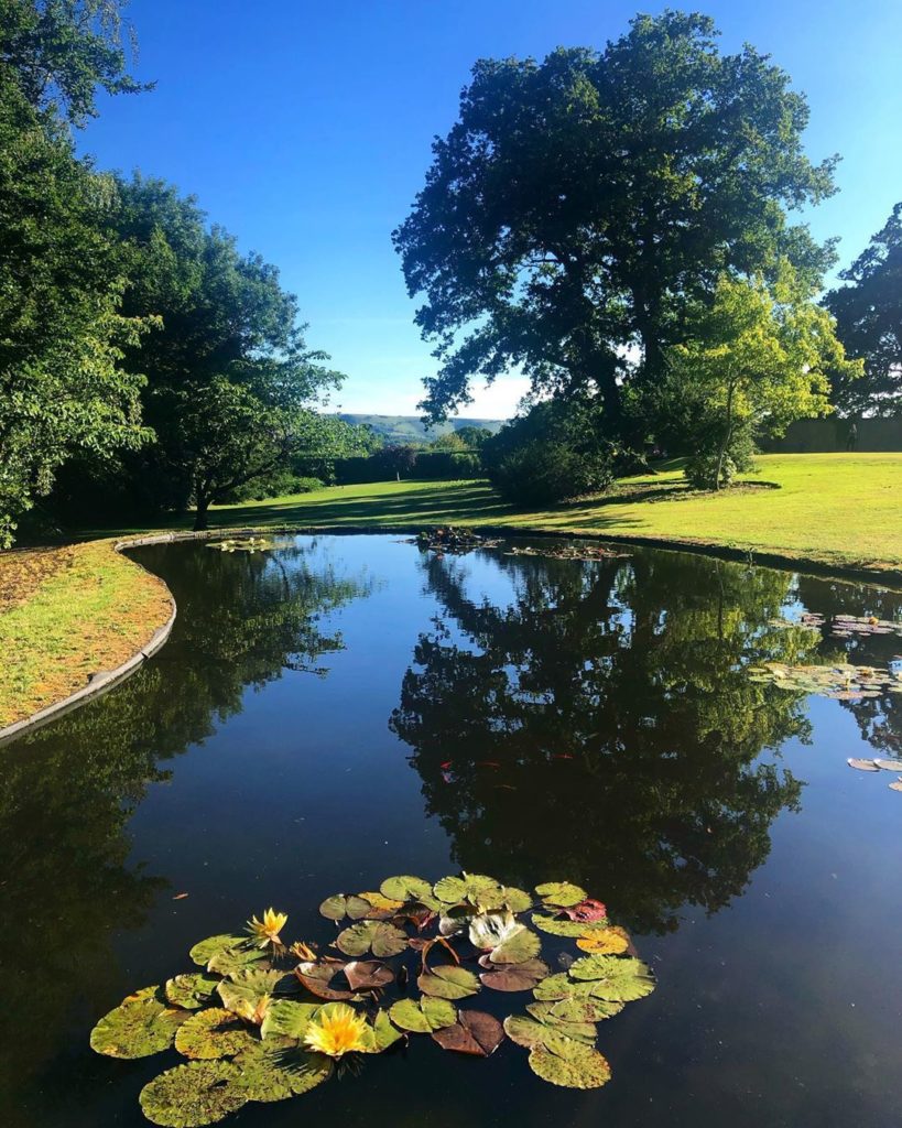 Amazing how much natural life a pond brings to a garden. There are newts, fish, ...