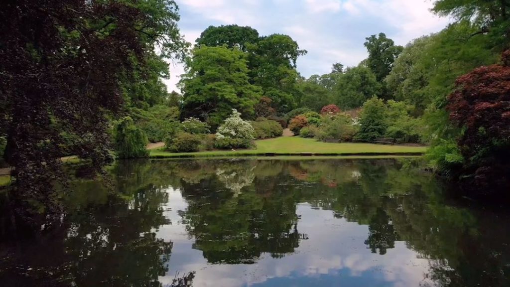 #Weekend #wonder : Bookended with videos taken several weeks apart that show the...