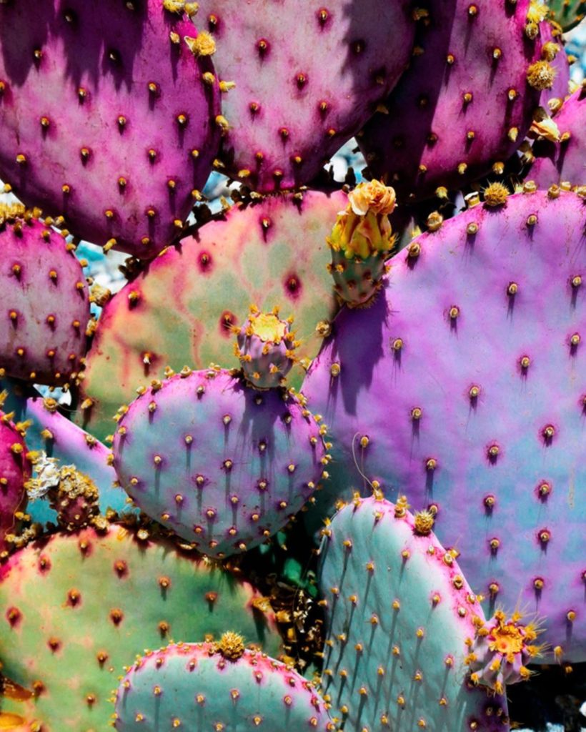 HAPPY PRIDE  ! We stand in solidarity with our LGBTQIA family! To celebrate Prid...