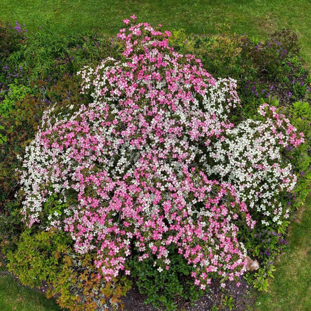 #WheresWillow #Wednesday ......